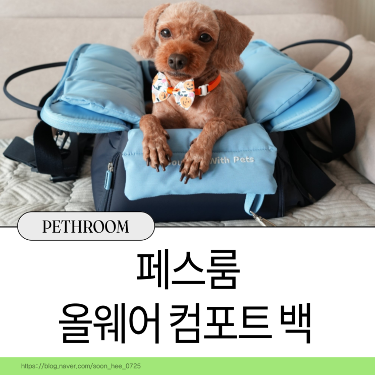 페스룸 올웨어컴포트백 반려견 카시트로도 제격