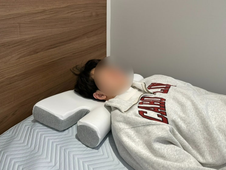 템퍼 메모리폼 경추베개 닥터헨델 실 사용후기 | 거묵복 일자목 베개 추천