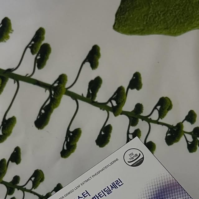 한별 on Instagram: "#광고
@helfu_official

🌿 헬퓨 메모리 부스터 은행잎추출물 포스파티딜세린 후기! 🌿

요즘 나이가 들면서 깜빡깜빡하는 일이 너무 잦아져서 걱정이 많았는데, 드디어 찾은 내 최애 #기억력영양제 가 생겨서 너무 기뻐서 후기 남겨요😊

헬퓨 메모리 부스터는 뇌 건강에 좋은 포스파티딜세린이 300mg이나 들어있고, 은행잎추출물, 비타민E, 커큐민, 홍삼, 피크노제놀, 비타민C 같은 프리미엄 부원료들이 가득한 제품이에요. 게다가 식물성 연질캡슐이라 소화도 편하고, 채식주의자도 안심하고 먹을 수 있어서 너무 좋더라고요.

✔️ 내가 느낀 효과
기억력이 확실히 달라졌어요!
나이가 들면서 단어가 잘 떠오르지 않고, 중요한 일정도 자꾸 잊어버렸는데 이젠 훨씬 머리가 맑아진 느낌이에요. 
뇌 신경세포막을 건강하게 만들어주는 
포스파티딜세린 덕분인지 집중력도 좋아지고 예전처럼 머릿속이 뻥 뚫린 느낌!

혈행 개선과 함께 피부까지 케어
은행잎추출물과 비타민E가 혈액순환을 도와주고
피부 탄력도 챙겨줘서 환절기에도 건조하지 않고 촉촉함이 오래가요. 
피부가 예전보다 훨씬 건강해 보여서 거울 보는 재미가 생겼답니다😆

1일 1회 2캡슐, 너무 간편해요!
매일 아침 물 한 잔과 함께 2캡슐만 챙기면 되니까 깜빡하기도 쉽지 않고
캡슐도 부드러워서 먹기 편했어요. 
위생적인 개별 포장이라 휴대하기도 좋아서 외출할 때도 꼭 챙기고 다녀요.

안전한 8無 클린 포뮬라 & NON-GMO 원료 사용
화학첨가물이나 인체에 해로운 성분이 전혀 들어있지 않아 믿고 먹을 수 있었어요. 
건강은 물론 성분까지 꼼꼼하게 따지는 제게 딱 맞는 제품!

✔️ 이런 분들께 꼭 추천해요

수험생이나 집중력 향상이 필요한 학생들
나이 들어 기억력 감퇴가 걱정되는 중장년층
피로가 자주 느껴지고 피부 건강도 함께 챙기고 싶은 분들
복잡한 영양제 여러 개 챙기기 번거로운 분들
요즘 같은 바쁜 시대에 딱 필요한 영양제라고 생각해요. 
저처럼 기억력, 인지력, 혈행, 피부까지 한 번에 챙기고 싶은 분들께 강력 추천! 
매일 꾸준히 먹으면서 확실히 달라진 내 뇌와 피부를 느껴보세요. 
당당하게 하루를 시작할 수 있는 자신감도 함께 얻을 수 있답니다😉

#헬퓨
#포스파티딜세린
#기억력영양제
#뇌영양제
#수험생영양제
#뇌영양제추천
#고등학생영양제
#뇌건강영양제
#건망증영양제
#건망증
#치매예방"