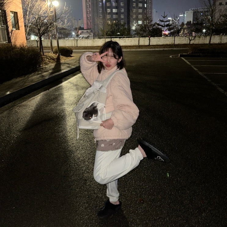 꽁냥꽁냥제이 고양이 이동장강아지 앞가방 강아지 이동 가방 추천백팩 고양이 이동장 캐리
