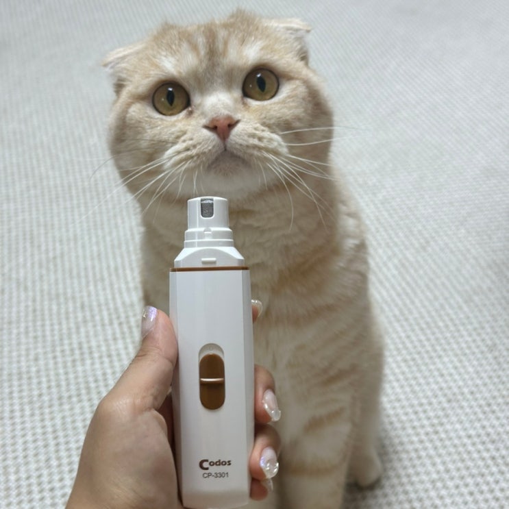 고양이 발톱깎기, 꽁냥꽁냥제이 발톱 그라인더