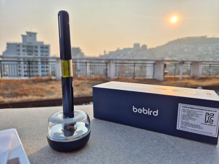 사용감 좋은 내시경 귀이개 Bebird Note5Pro 이어스캐너