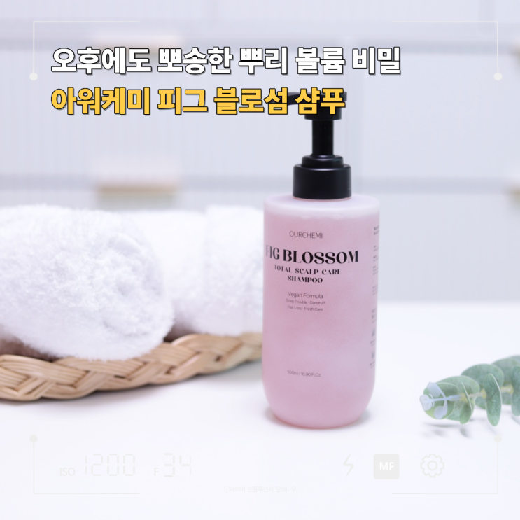 여자 지성샴푸 추천 지루성 두피 고민 해결! 아워케미 피그 블로섬 샴푸 후기