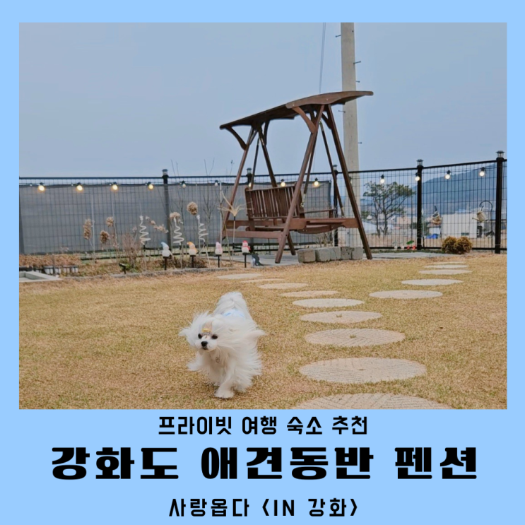 강화 애견동반 펜션 독채 숙소 사랑옵다 여행 후기
