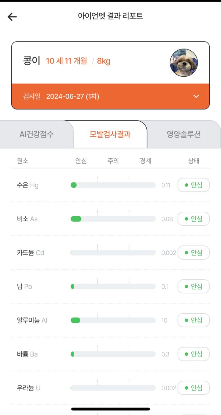 아이언펫 모발검사 키트로 집에서 강아지 영양분석+건강 검사후기