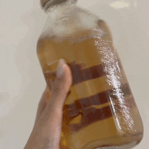 보리차 끓이지 마세요! 맥널티 티브루 보리차 진액으로 3초 완성하는 물습관