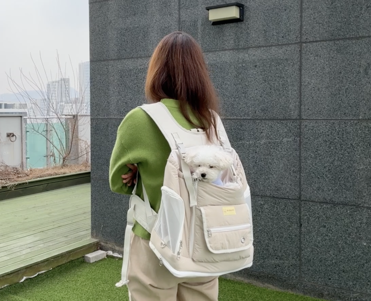 앞으로 매는 안정감있는 꽁냥꽁냥제이 강아지 이동가방