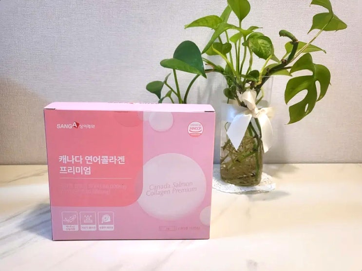 캐나다 연어콜라겐 프리미엄 콜라겐 추천