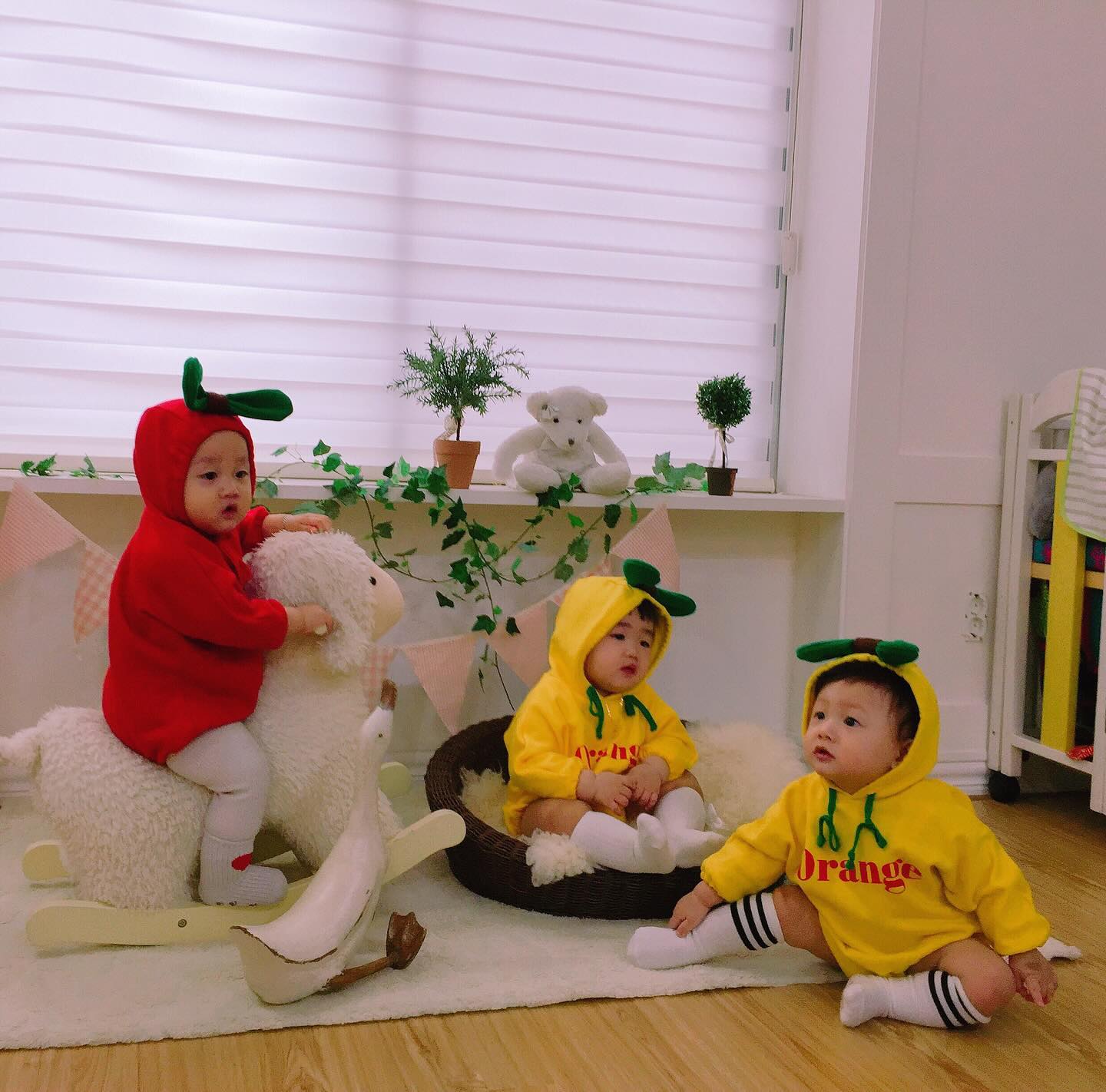 기억나요 여러분,,,? ㅋㅋㅋㅋ
세상귀여운 쭈니와 친구들

생각보다 사진 너무잘나왔던날
사진찍어주신 포토그래퍼 대단하다느낀날 ㅋ

#아기쭈니 #신생아부터지금까지 #얼굴이똑같다 #천천히커줘❤️
