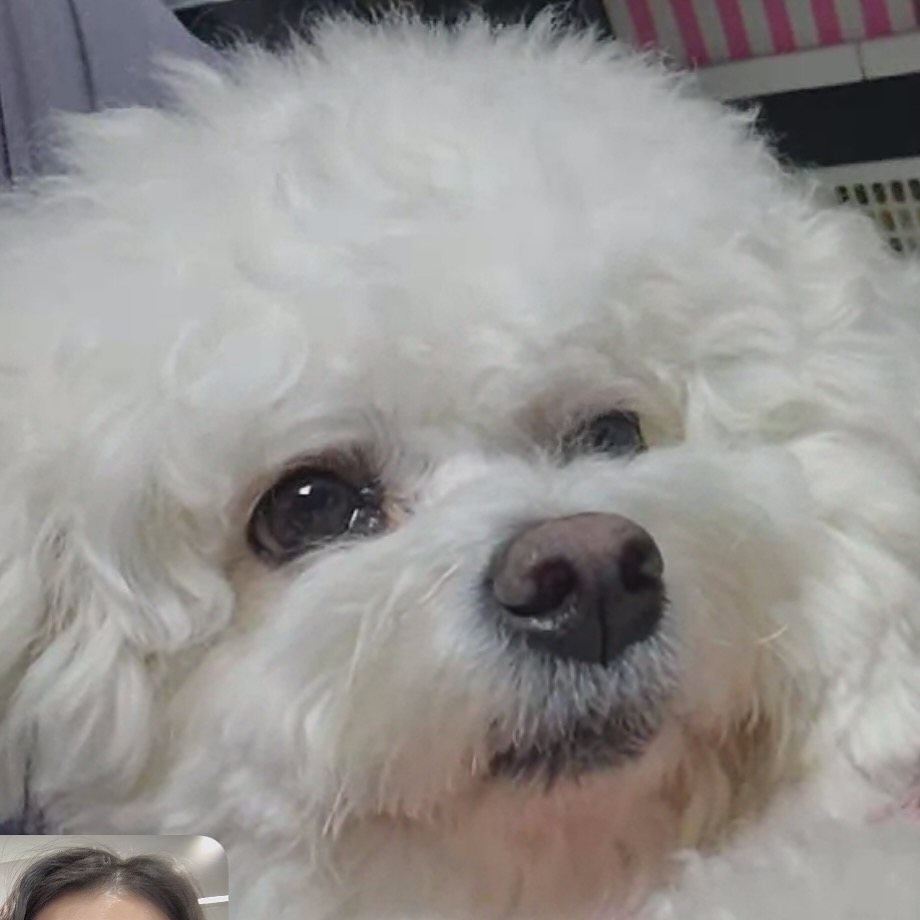 _#영통온쵸니
인생은 괴롭구랴,, 사는게 괴롭소만,,
현실에 만족해야하는……… 다른 도전은 무의미….
