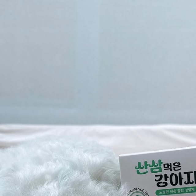 쭝까만✨ on Instagram: "#광고 

➰산삼먹은 강아지 종합영양제

시간이 흐를수록 만두도 나이를 먹고 점점 먹는 영양제도 늘어나더라구요

함께하는 시간동안 안아프기를 바라며 챙겨주지만 좋은제품인지 같이 먹어도 괜찮은건지 챙겨야할것도 신경써야할것도 너무 많더라구요🥲

산삼먹은 강아지는 노령견 전용 종합 영양제에요!

식욕부진, 슬개골 건강, 눈물자국, 구내염, 피부염, 장이 예민한 아이 등등 여러 고민 있는 친구들이 먹을수 있는데 노령견이 이니더라도 고민하는 문제들이에요

만두도 먹는 영양제가 관절, 피부, 치아, 눈물2가지 등 6개정도는 꾸준히 먹는것 같아요!

생각만해도 챙겨주기 번거롭고 너무 많이 먹기도 하죠.. 그렇다고 안줄수도 없구!
이렇게 여러가지 챙겨주지 않고 올인원 제품으로 한번에 챙겨줄수 있어요😘

신바이오틱스로 장내미생물 생태계가 건강해지면 면역력 증가✨ 질병 down!

또 아무리 좋은 제품이어도 흡수가 안되면 소용 없는데 

세계최초 ❗️산삼배양근❗️함유✨ 저분자 사포닌 구조로 흡수가 용이해요👍🏻

기호성도 좋아서 퍙소 먹던 사료에 툭 뿌려줘도 너무 잘먹어요😍

심장, 장, 관절, 피부, 눈까지 케어할수 있는 산삼먹은 강아지로 간편하게 케어해봐요🫶🏻

#강아지영양제 #강아지종합영양제 #강아지유산균 #강아지오메가3 #강아지비타민 #강아지심장영양제 #강아지관절영양제 #강아지슬개골영양제 #강아지기침 #강아지눈물 #강아지눈영양제 #강아지피부영양제 #노령견영양제 #노견영양제 #강아지면역력 #강아지항산화 #강아지프리바이오틱스 #강아지장영양제 #산삼먹은강아지"