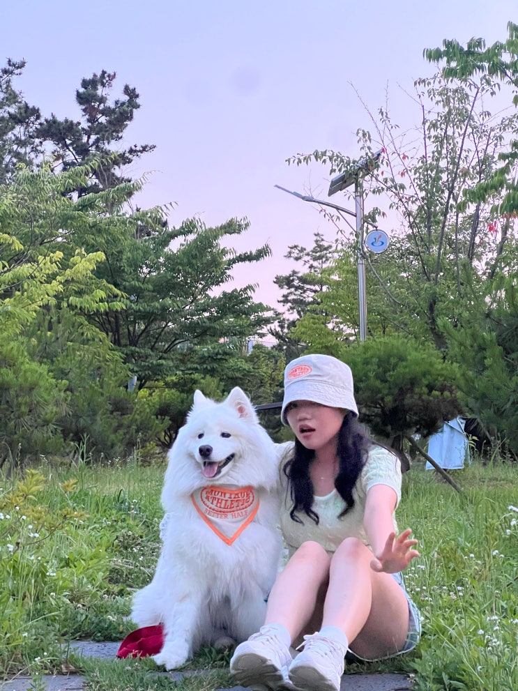 [ 빵구는 후기왕 ] 대형견 커플룩 찾는다면 베럴하프 강아지 커플룩
