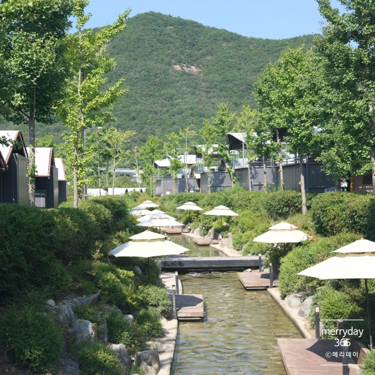 금산 근교 펜션 파브오브드림 글램핑에서 훈연BBQ패키지&무료소품대여로 감성글램핑