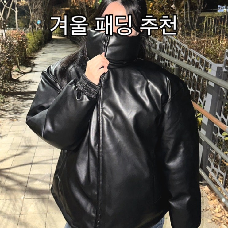 겨울패딩 추천 | 스탠다드에러 하이넥 레더 패딩 블랙