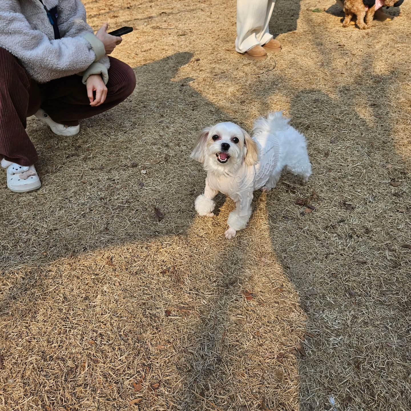 하루종일 뛰뛰~~~♡
마지막영상은 만두랑 하양이 뽀시래기시절~♡