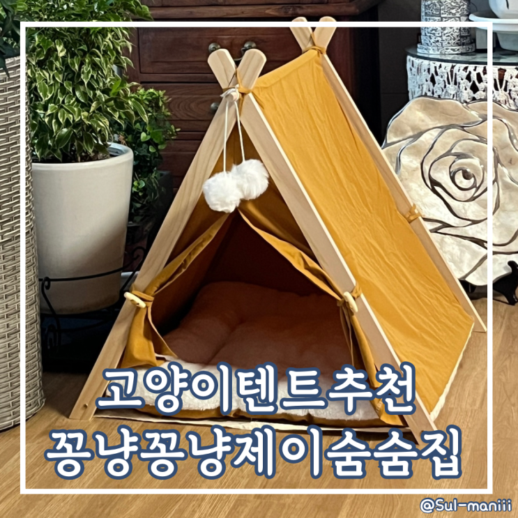 고양이 텐트 추천 꽁냥꽁냥제이 숨숨집