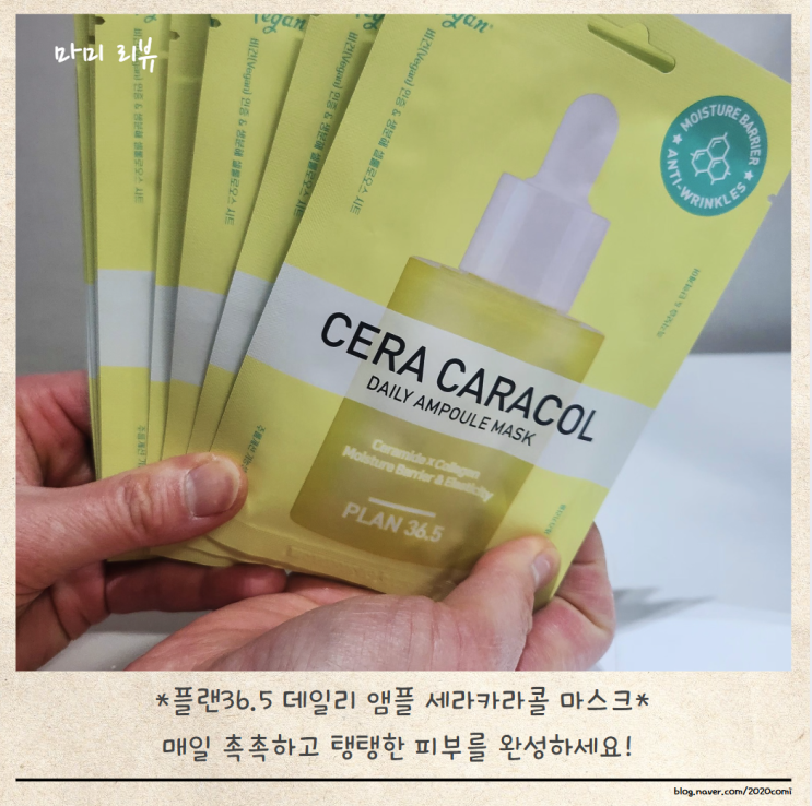 ✨ 1일 1팩으로 완성하는 피부 케어! 플랜36.5 데일리 앰플 마스크팩 세라카라콜✨