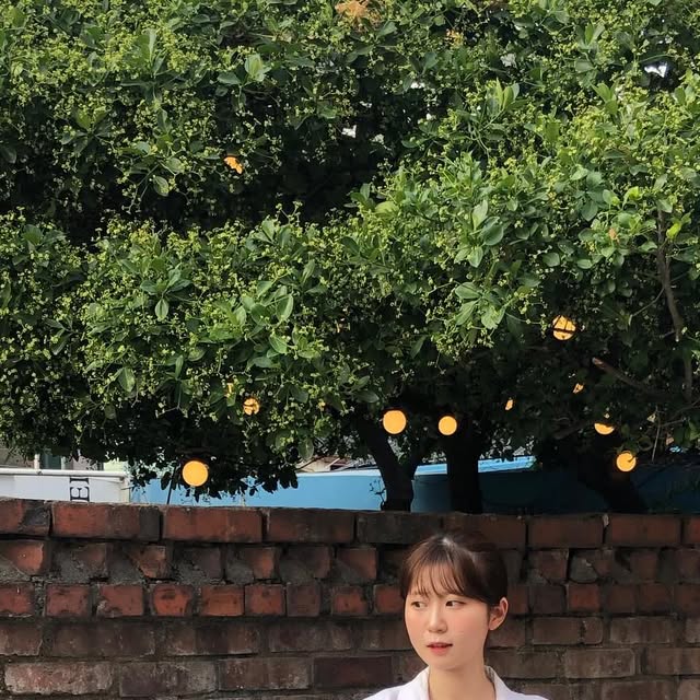 지은 on Instagram: "#광고 
#스탠다드에러 바지입고 행궁동 나들이☀️

빈티지한 워싱, 볼륨감 있는 벌룬핏이라
이 바지 하나로 스트릿 무드 제대로🩵

허리부터 밑단까지 떨어지는 핏도 예쁘고
부드럽고 튼튼한 원단이라 착용감도 편했어요!
디테일도 고급져서 퀄리티 있는 느낌✨

👉 @standarderror_official 

#스탠다드에러 #STANDARDERROR #남여공용팬츠 #데님 #데님팬츠 #팬츠 #바지 #와이드바지 #워싱팬츠 #와이드팬츠 #데일리룩 #바지추천 #DenimPants #Denim #pants"
