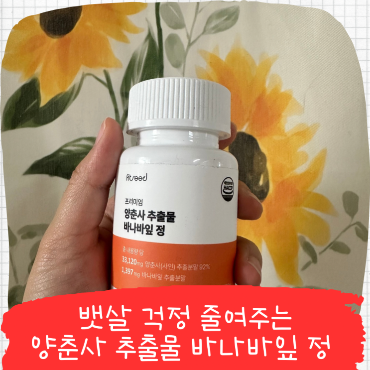 뱃살 걱정 줄여주는 양춘사 추출물 바나바잎 정 꾸준히 먹는 이유