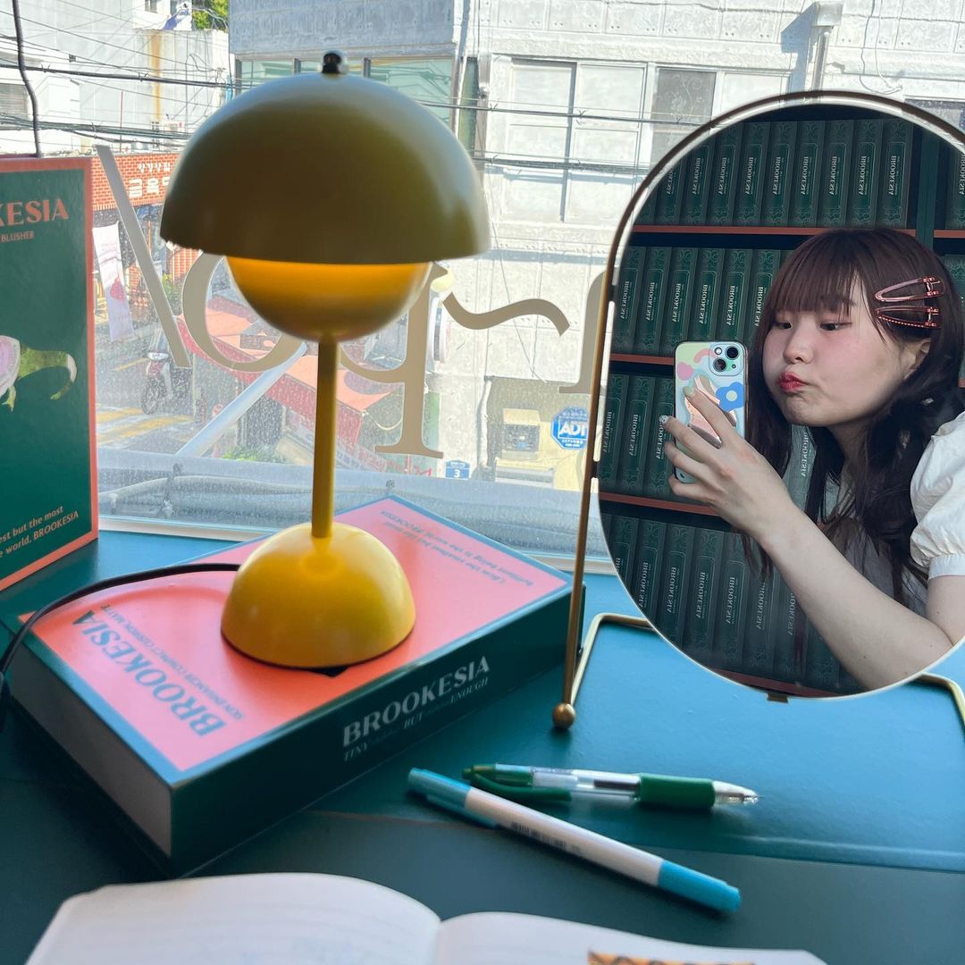 나 연 | #광고 @brookesia_official 는 세상에서 가장 작지만 자신만의 고유함으로 당당하게 빛나고 있는 작은 카멜레온 브루케시아!🦎한테 영감을 받은 브랜드입니다 첫 팝업을 연희동에서 열었다고해서 다녀왔는데요, 하나의 제품을 한 권의 책에… | Instagram