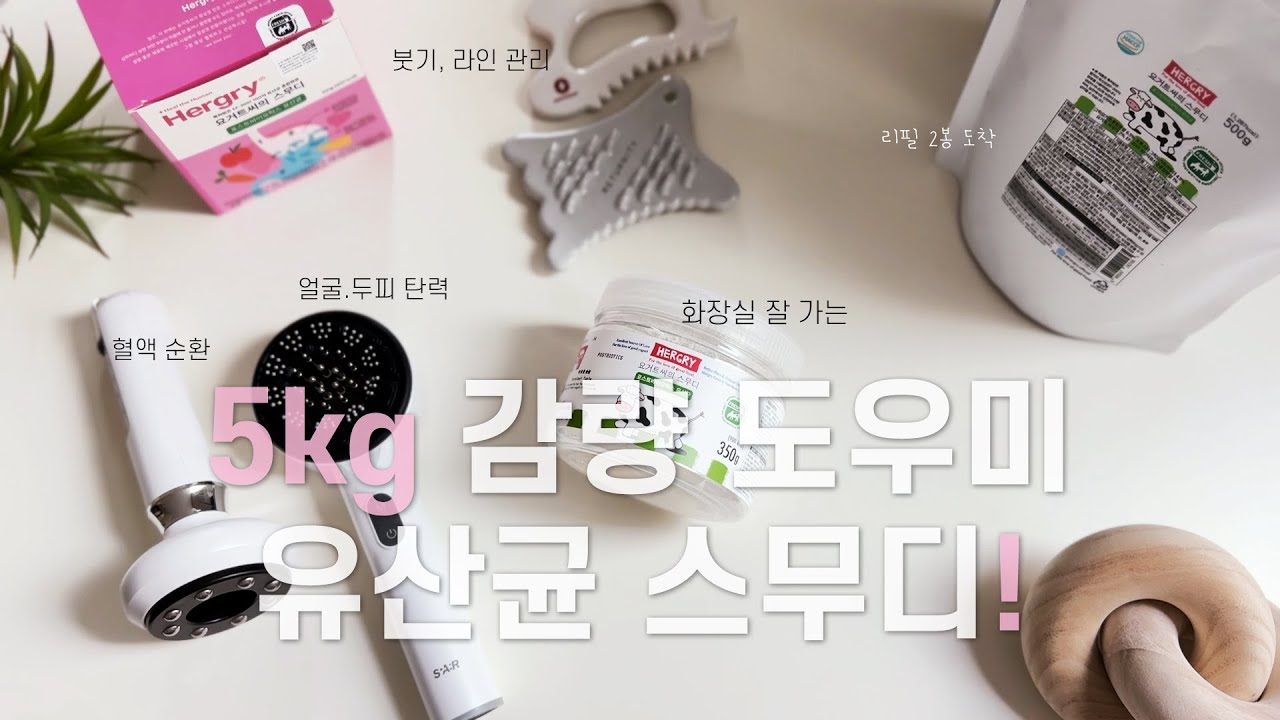 5kg 감량 루틴, 헐그리 유산균 스무디, 30대 40대 다이어트 방법, 전신 순환 관리