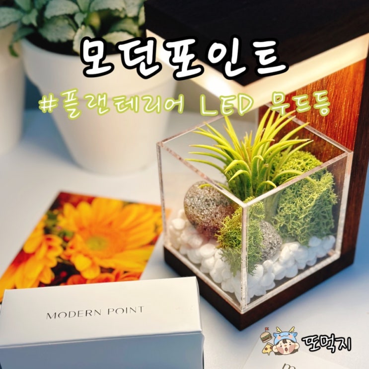 인테리어조명 모던포인트 LED 식물 무드등 집들이선물