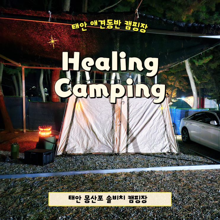 태안애견동반캠핑장 몽산포 솔비치 캠핑장
