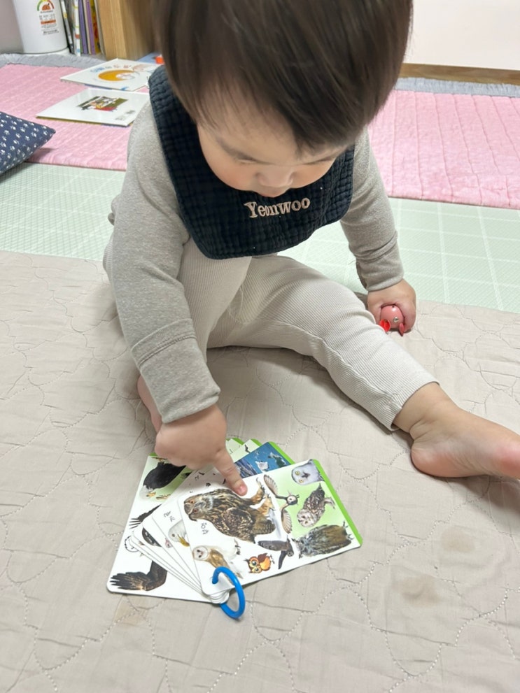 굿게임에듀 노리 낱말 카드 210 실물 사진, 그림, 한글, 영어 11개주제 210장 단어 낱말카드 추천해요^^