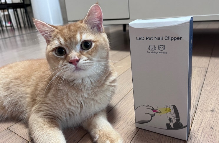 [꽁냥꽁냥제이]이제 우리집고양이 발톱 안무서워요 한줄기 불빛 LED 고양이발톱깎기