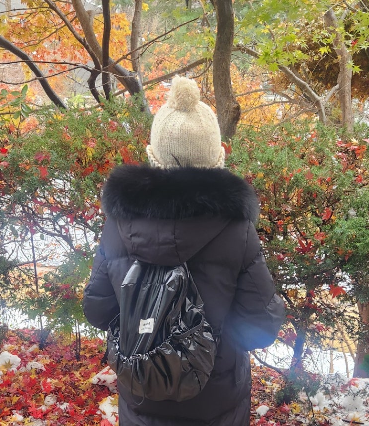 보부상가방 추천 ellyzabell 엘리자벨 백팩