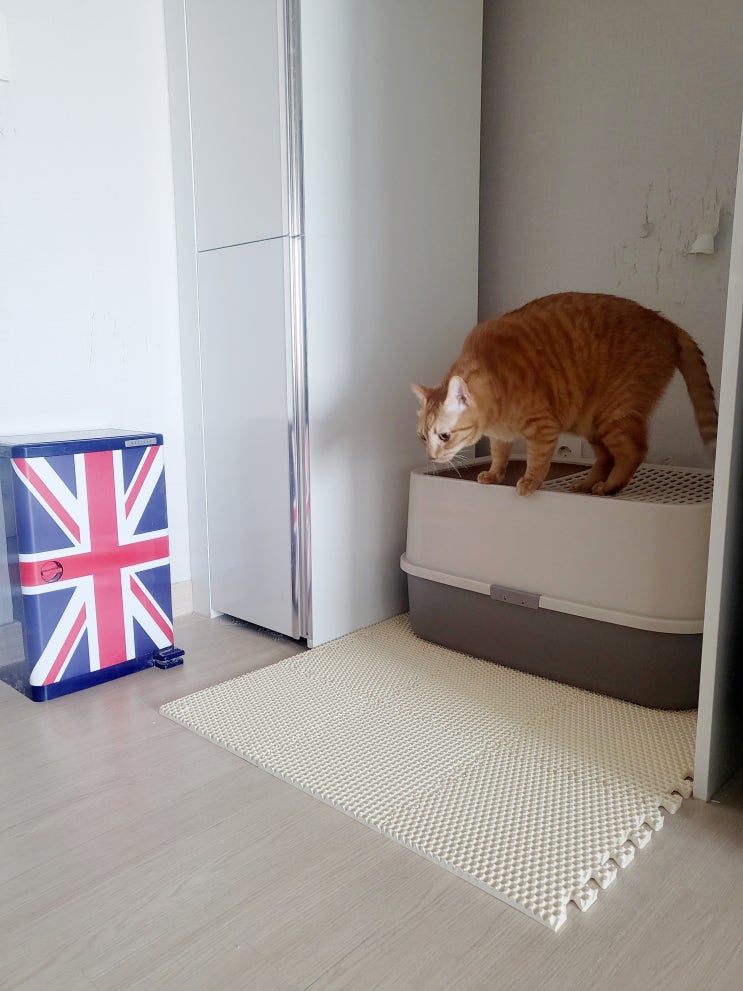 헨로포우 고양이 퍼즐형모래매트, 사막화 이젠 안녕