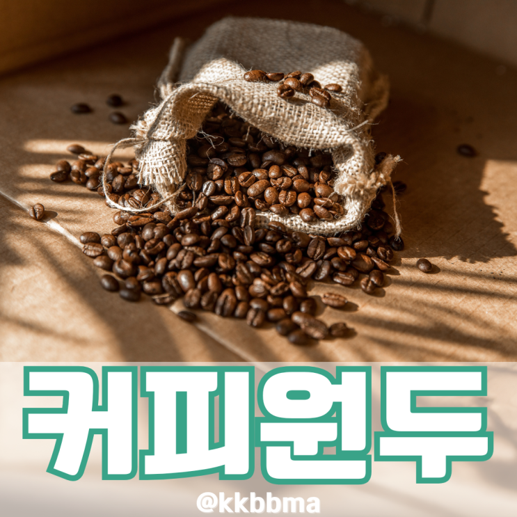 커피원두 커피 종류 4가지 고급스러운 원두 추천