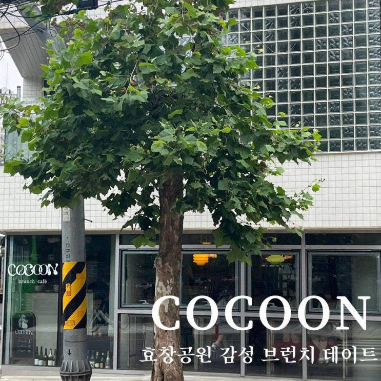 [용산 숨겨진 브런치 카페 ‘코쿤’] 작지만 정성 가득한 힐링 공간!