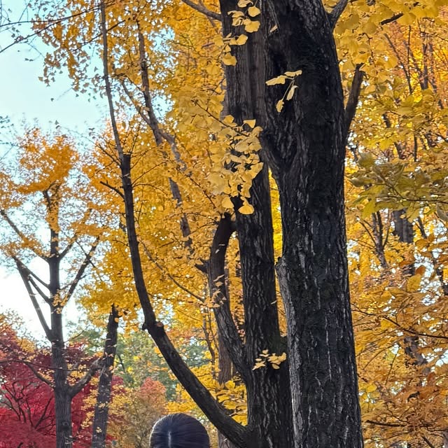 강다현 on Instagram: "#광고 @standarderror_official 

가을이자나~~🍂

87-STAN047 벌룬핏 워싱 와이드 데님팬츠 빈티지 블랙 -S

딱 가을이 생각나는 컬러🤎
미니멀한 디자인과 내추럴한 벌룬핏 실루엣이 특징이고
터치감이 부드럽고 견고한 내구성의 원단으로 착용감이 편안해요✨

📍https://musinsa.onelink.me/ANAQ/rrs8a94o

#스탠다드에러 #STANDARDERROR #남여공용팬츠 #데님 #데님팬츠 #팬츠 #바지 #벌룬핏 #벌룬핏팬츠 #와이드바지 #워싱팬츠 #와이드팬츠 #데일리룩 #바지추천 #DenimPants #Denim #Pants"