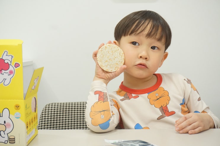 어린이집간식 유기농라이스칩 아기 쌀과자 달칩 초코샌드&딸기샌드