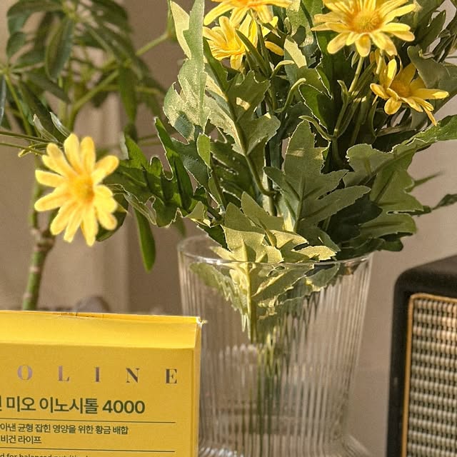 ᵀᵂᴵᴺᴷᴸᴱ ᴶ💛 on Instagram: "#광고

요즘 컨디션이 계속 들쑥날쑥해서 건강 관리 좀 해볼까 싶었는데,
찾아보니 이노시톨이 좋다는 얘기가 많더라구요!
그래서 선택한 헬퓨 콜린 미오 이노시톨 4000 🌿✨

✔ 하루 1포로 간편하게!
가루 타입이라 물 없이도 그냥 톡!
상큼한 레몬맛이라 부담 없이 챙겨 먹기 딱 좋음 🍋💛

✔ 100% 비건 + NON-GMO 원료 사용
첨가물, 부형제 10 ZERO라 더 믿고 먹을 수 있어서 만족!
미오 이노시톨 4,000mg에 주석산수소 콜린, 
비타민까지 꽉 채워져 있음!

하루 한 포로 건강 루틴 만들기!
헬퓨 이노시톨 덕분에 기분까지 상큼해지는 느낌 ☀️💛

#헬퓨 #이노시톨효능 #미오이노시톨 #콜린이노시톨 #비건이노시톨 #이노시톨추천 #이노시톨4000 #임산부이노시톨 #생리주기영양제 #생리통영양제"