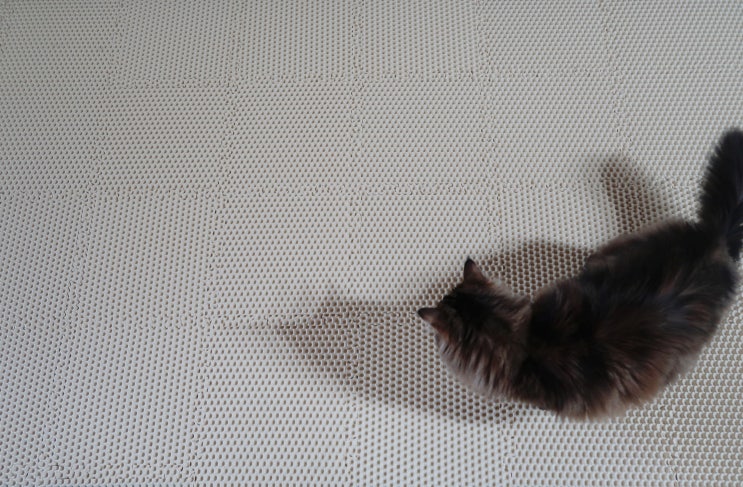 퍼즐형 모래매트 헨로포우 고양이 모래매트