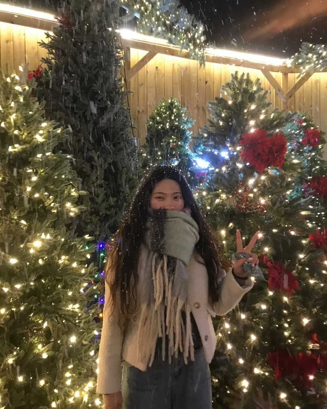 🫧🎄🍀
