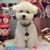 이새로 (@saero_0123) • Instagram photos and videos