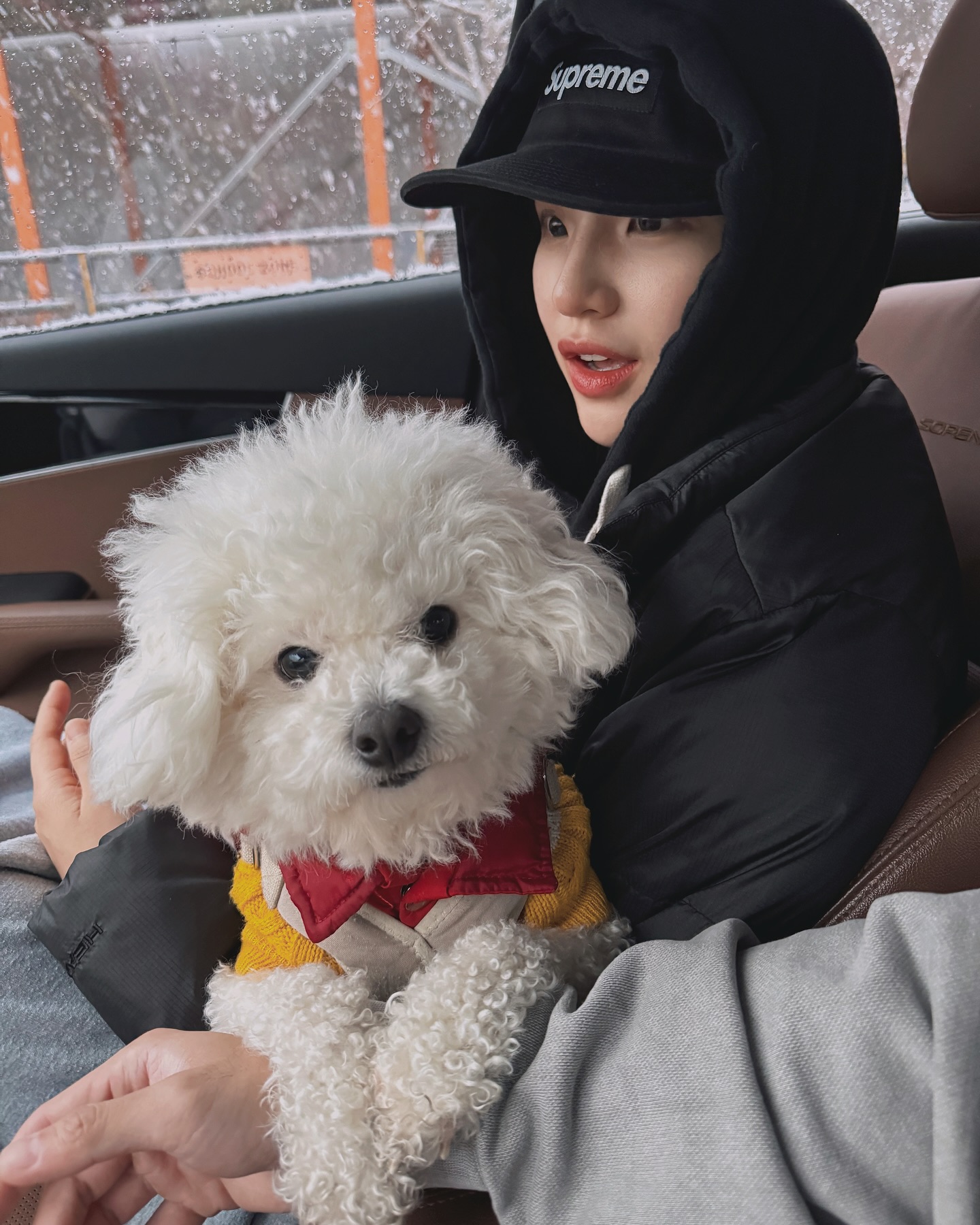 두 손 모아 공손하개 🐶형아 간식 좀 주시죠? 🐶
똥강아지 너무 꼬질해서 오늘 목욕해씀 후 🫧🛁🧽♨️