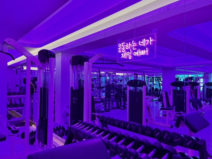 신정역 헬스장 최신 운동 기구와 재활pt가 있는 피터짐스튜디오