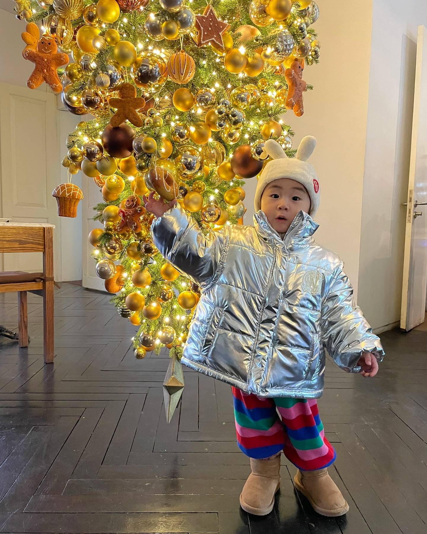 🎄🎄🎄