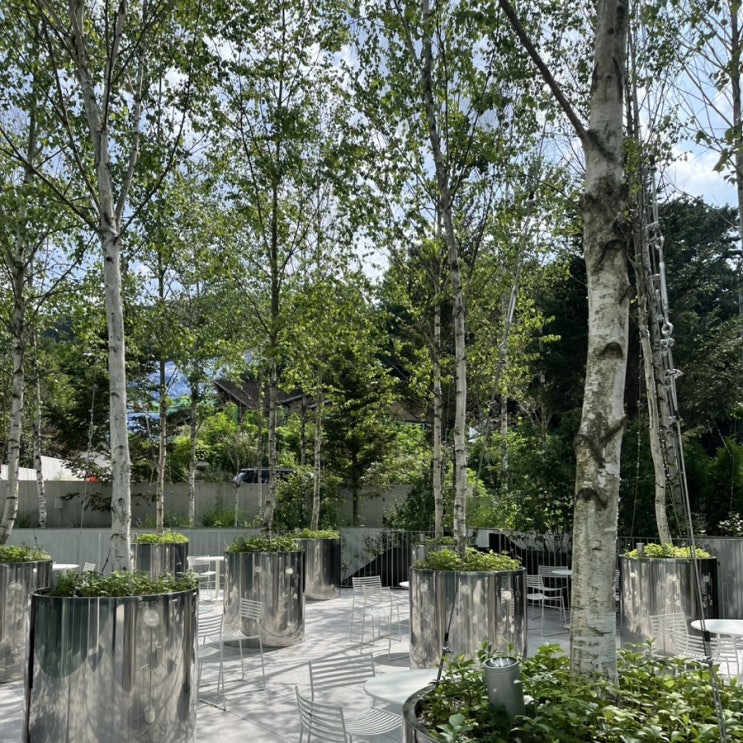 용인 대형카페 ㅣ SETT 고기동 대형카페
