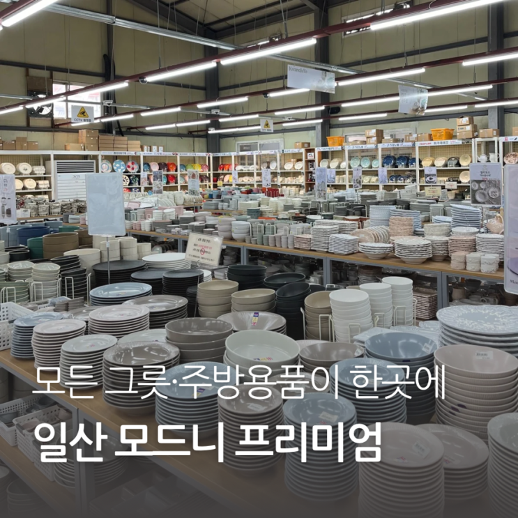 일산 모드니 그릇 쇼핑 후기 - 모든 수입그릇·주방용품이 한곳에!