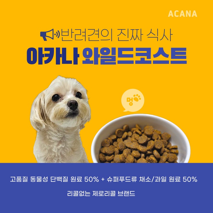 프리미엄강아지사료 제로리콜 브랜드 아카나 와일드코스트 독