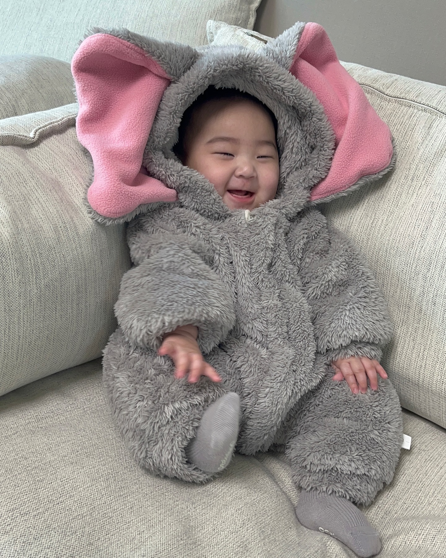 아기 코끼리 덤보의 하루 🐘🩶

#아기스타그램 #5개월 #생후157일 #24년생아기 #도치맘