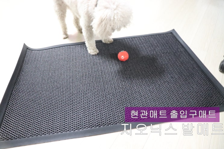 미끄럼방지매트 현관매트 출입구매트 지오닉스 발매트 사용후기