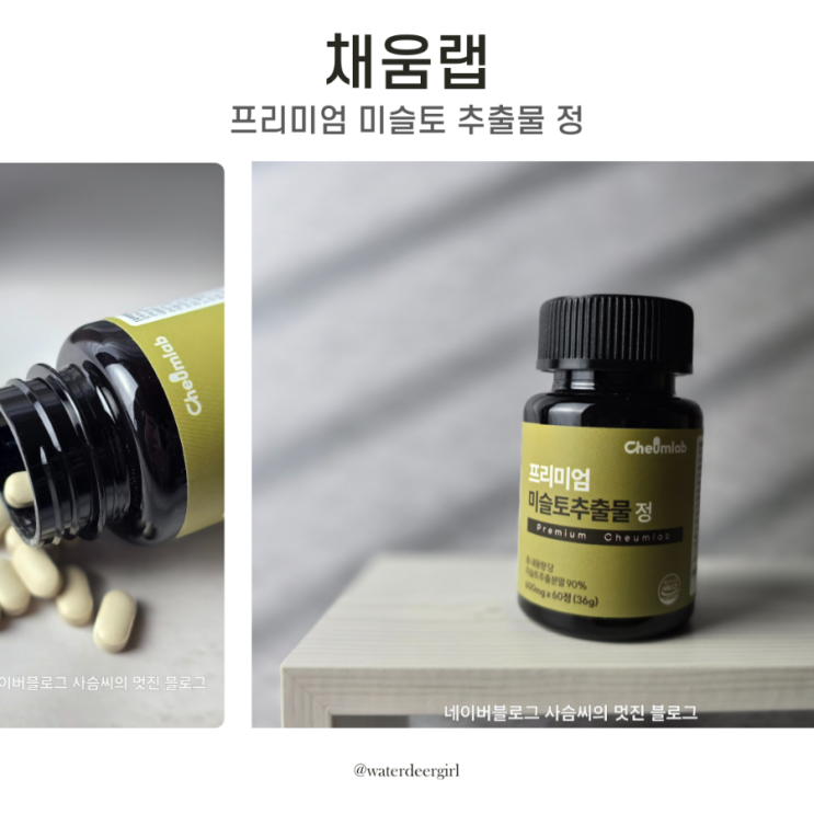 채움랩 프리미엄 미슬토 추출물 정