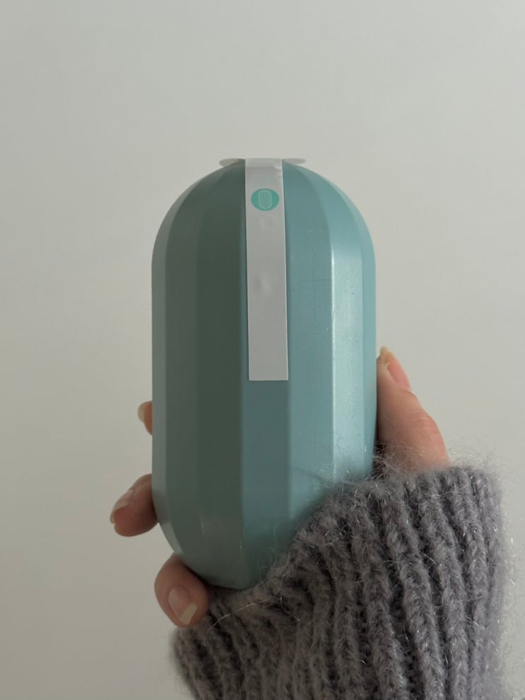 라이프스탠다드 퐁당변기세정제, 변기 탈취 방법 추천🧼🚽🪠