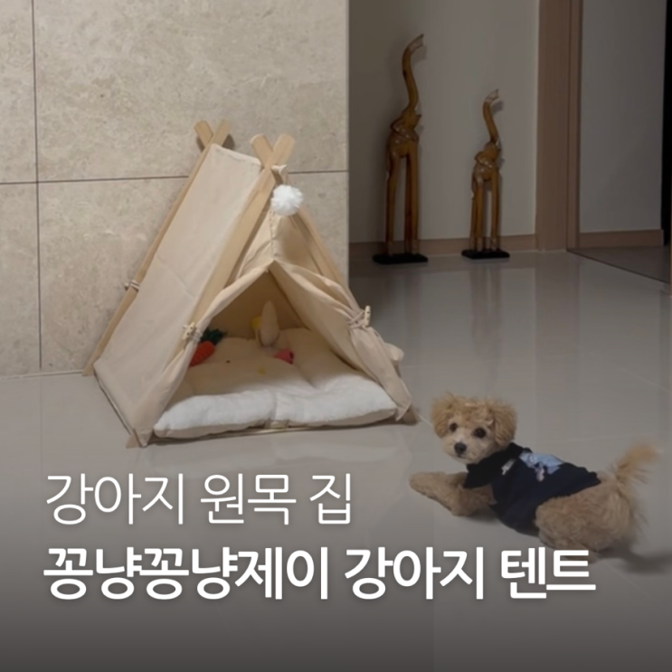 꽁냥꽁냥제이 강아지 텐트 우드 감성의 강아지 숨숨집